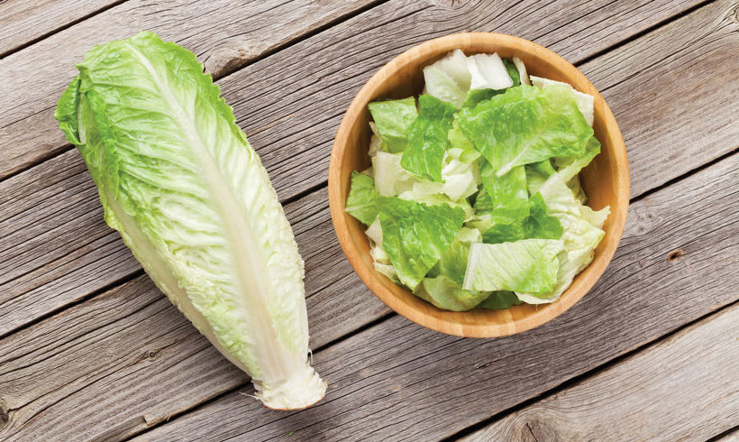  Sve jedno da li za salatu koristite Romanu, Iceberg, običnu zelenu, kelj, ili nešto treće, iseckajte na parčiće veličine 3-4cm